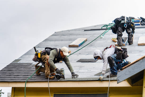 Professional Storm Damage Roof Repair technician working in Marengo, IL